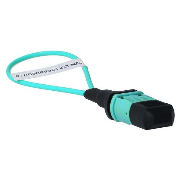 BlueLAN BlueOptics Loopback Adapter MPO/MTP Multimode OM3 (22742405)