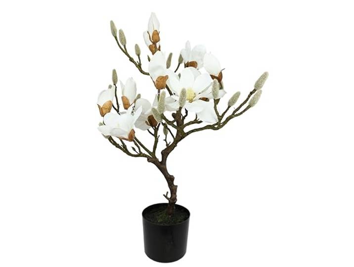 Kunstbaum Magnolie im Topf Magnolienbaum künstlich Kunstpflanze Kunstblume Blume Zimmerpflanze Topfblumen Kleiner Deko Magnolienzweig Blüten Frühjahrsblumen Frühjahrsdeko Frühjahrsblüher Pflanzelich