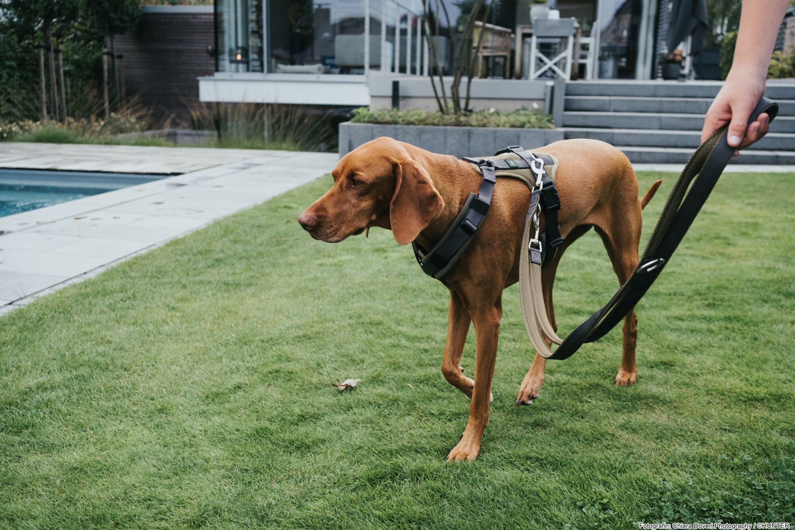 DOG SPORT HUNTER Geschirr Maldon XS, oliv/grau