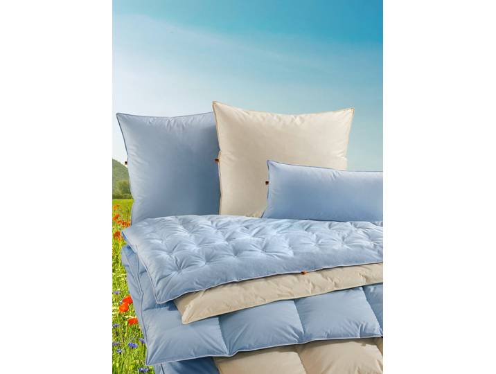 Erstklassige Daunenkissen-Sonderserie blau & creme aus dem Schwarzwald, Creme, Größe 120 (80/80 cm), Kissen