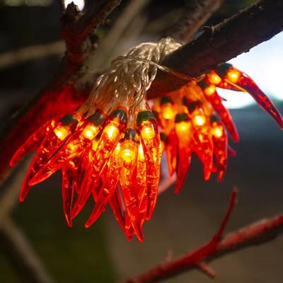 Inspired Finds Red Chilli LED String Lights Battery USB Powered Fairy Garland For Holiday, Wedding & Party Decor 3m20 Leds usb
