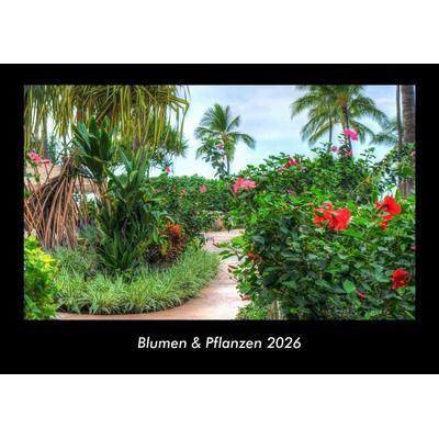 Blumen & Pflanzen 2026 Fotokalender DIN A3