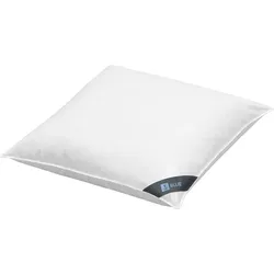 Spessarttraum 3-Kammer-Kissen Blue, Füllung Aussen: 60% Daunen, 40% Federn 80x80 cm