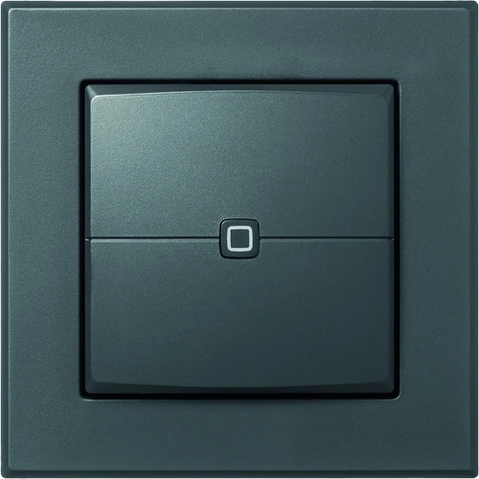 Homematic Wandbediening, 2-voudig, antraciet