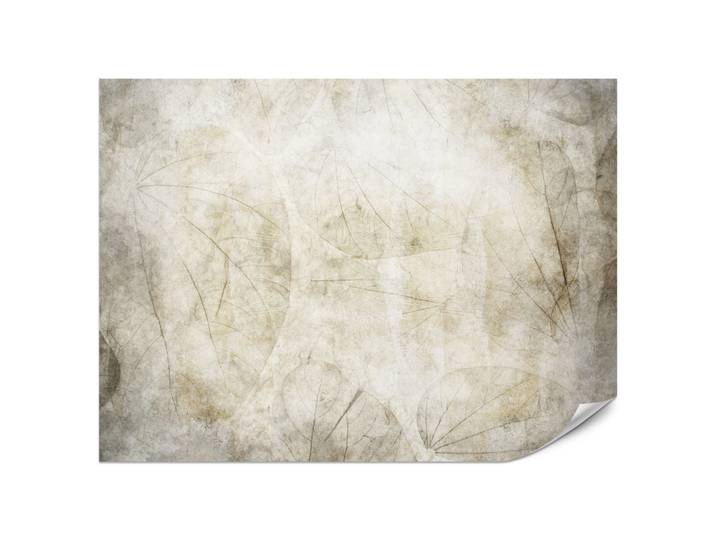 FOTOTAPETE für Wohnzimmer Blätter Beton Abstraktion 200x140