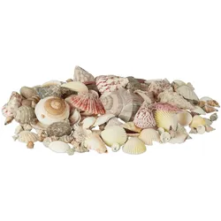 Relaxdays Muschel Deko im Set, Mix mit großen Meeresschnecken, Jakobsmuscheln, Stranddeko zum Basteln, maritim 1kg, bunt