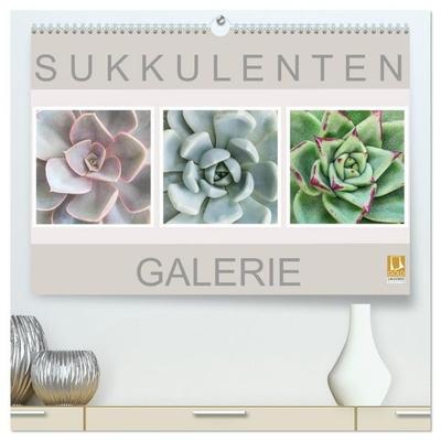 Sukkulenten Galerie (hochwertiger Premium Wandkalender 2027 DIN A2 quer), Kunstdruck in Hochglanz