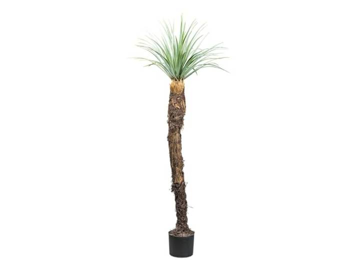 CREATIV green künstliche Yucca Palme rostrata 150cm I Palme künstlich mit naturgetreuen Blättern & Erde I Zimmerpflanzen mit Topf in 17x14,5cm I stilvolle Kunst Palme ideal als Indoor Deko