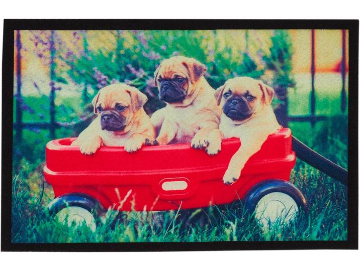 Fussmatte ANDIAMO Modern , dogs, B:40cm H:6,5mm L:60cm, Polyamid, Teppiche, Fussmatte, Schmutzfangmatte, bedruckt, diverse Motive, In- und Outdoor geeignet