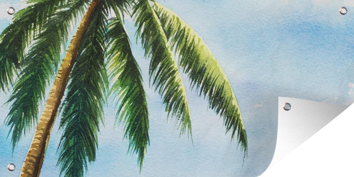 GreatGardenPosters Schuttingposter Palmboom Lucht Waterverf 200 x 100 cm