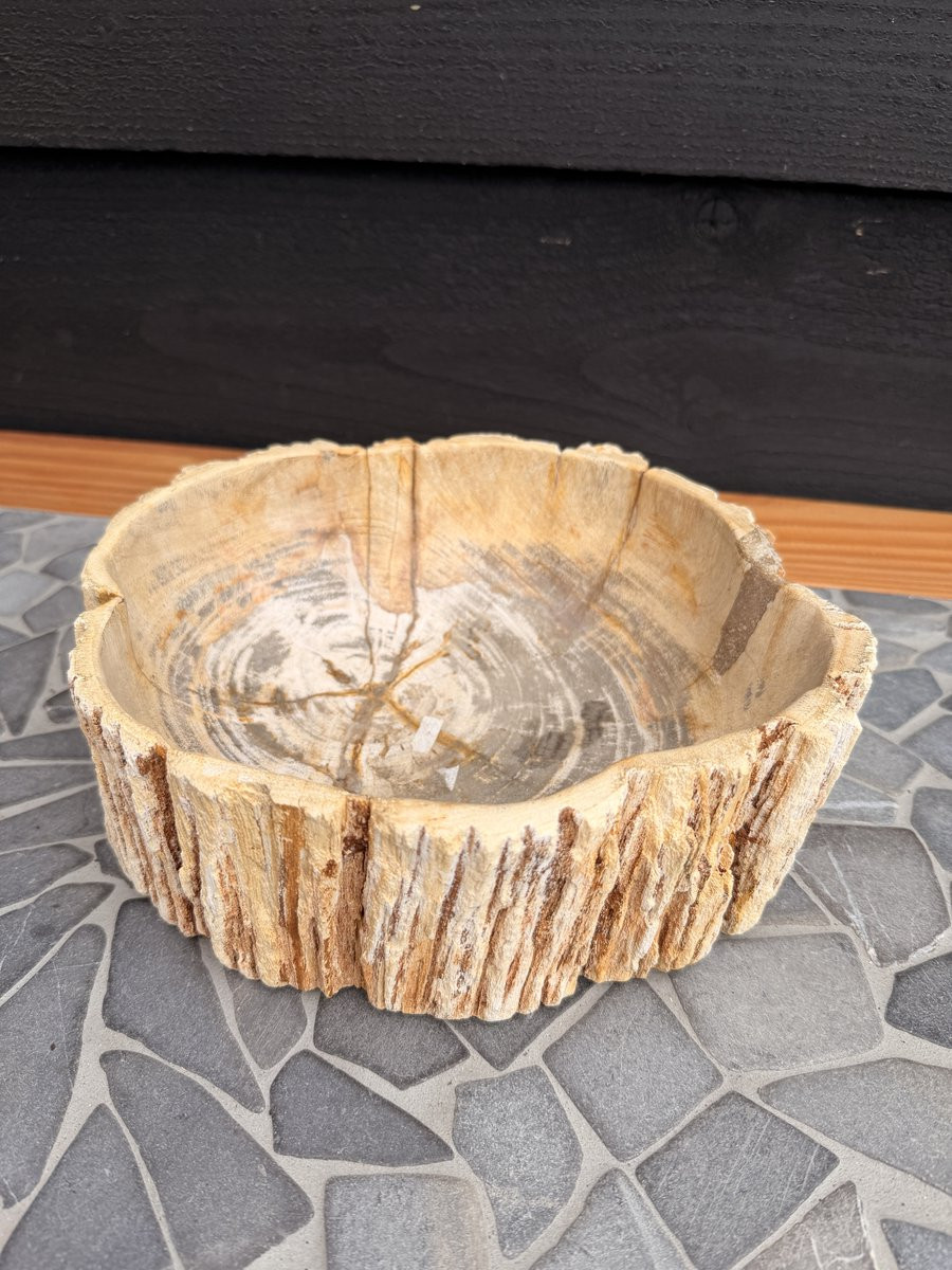 GemWood Versteend Houten Schaal