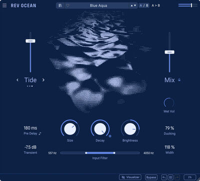 Arturia Rev Ocean