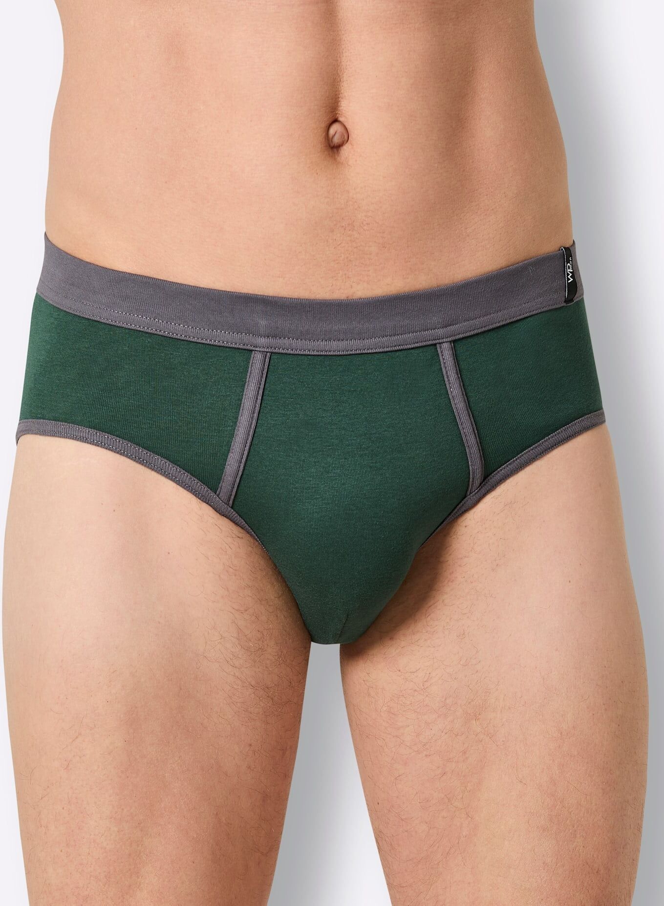 Slip WÄSCHEPUR, Herren, Gr. 5, 2 Stk., grau (anthrazit, moos), 100% Baumwolle, Unterhosen Slip anthrazit, moos 5, 2 Stk.