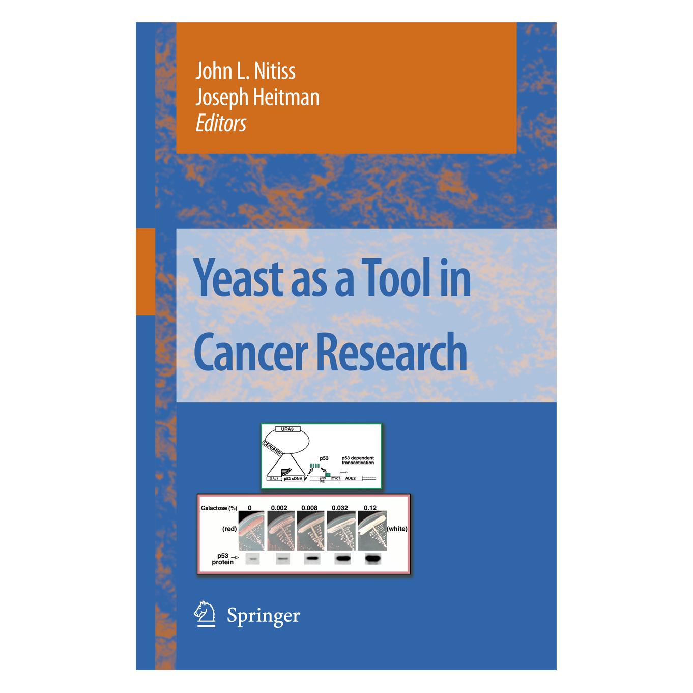Springer Yeast as a Tool in Cancer Research (Englisch, Softcover, John L. Nitiss, Joseph Heitman) (55574701)