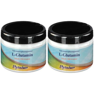 Glutamin x2 2x250 g Pulver