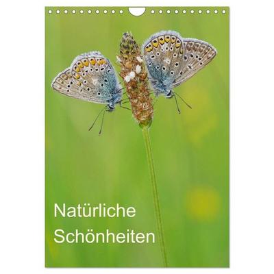 Insekten,Schönheiten der Natur (Wandkalender 2027 DIN A4 hoch), CALVENDO Monatskalender