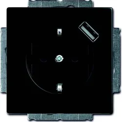 Busch-Jaeger Schuko/USB-Steckdose 20 EUCBUSB-885 2CKA002011A6165