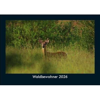 Waldbewohner 2026 Fotokalender DIN A5