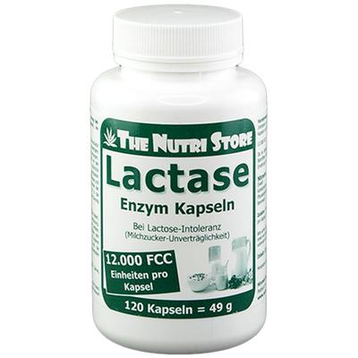 Lactase 9.000 FCC Enzym Kapseln 90 St