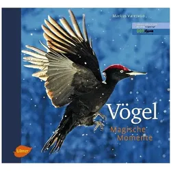 Vögel - Magische Momente, Ratgeber von Markus Varesvuo