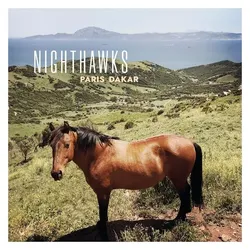Q-Rious Music, Schallplatten, Paris-Dakar (LP) (Nighthawks (Dal Martino Reiner Winterschladen))