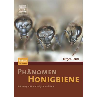 Phänomen Honigbiene, Gebundene Ausgabe von Jürgen Tautz,Helga R. Heilmann, Spektrum der Wissenschaft, 978-3-8274-1845-6