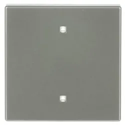 Busch-Jaeger Wippe 2570-10-866