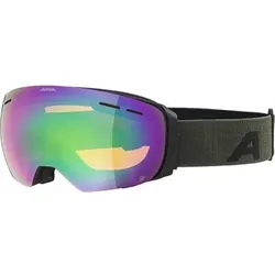 ALPINA Skibrille "Granby HM", Größe ONE SIZE in Silber 836