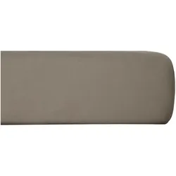 BettwarenShop, Fixleintuch, Boxspring (140x200 cm, 150x200 cm, 160x200 cm)