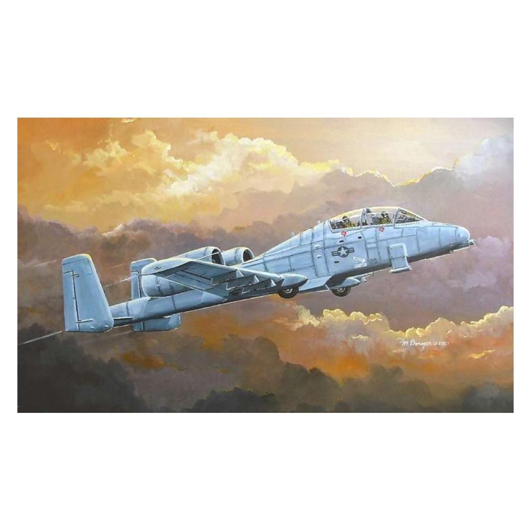 Hobby Boss N/AW A-10A THUNDERBOLT II (80267)