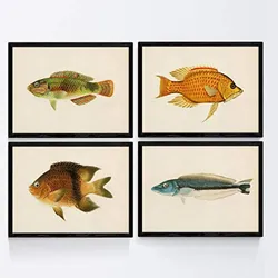 POSTER Set mit 4 Stil Blau, Orange und Grün Fische A3 Rahmenlos