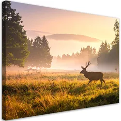 LEINWANDBILD Landschaft Hirsch im Brunftgebiet im Nebel 100x70cm