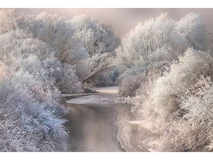 A.S. Création Papier peint photo - Frozen Forrest papier peint intissé lac forêt arbre noir blanc - 384 x 260 cm XXL papier peint mural tableau mural