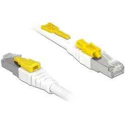 DELOCK Kabel RJ45 Secure Cat.6A 5 m