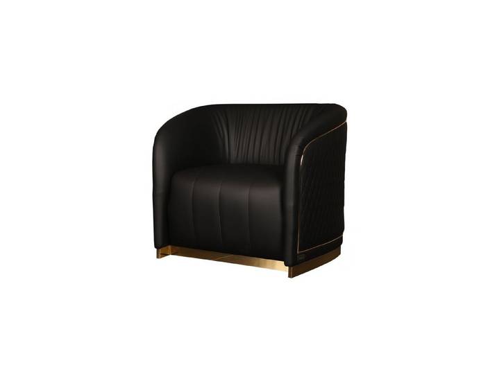 Xlmoebel Sessel Schwarzer Ledersessel mit elegantem Design und hoher Bequemlichkeit (2-St., Sessel), Made in Europa