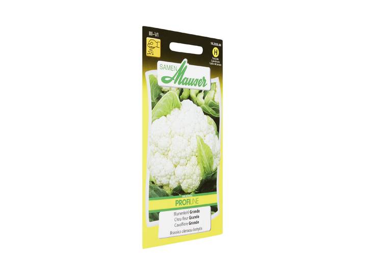 Samen Mauser Blumenkohl Grando