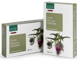 NATURA SERVICE Srl Cardo Mariano Integratore Alimentare 20 Ampolle 15ml - Fisiologica Depurazione dell'Organismo