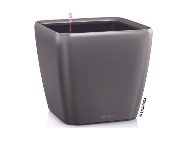 Lechuza Quadro Premium 35 cm anthrazit