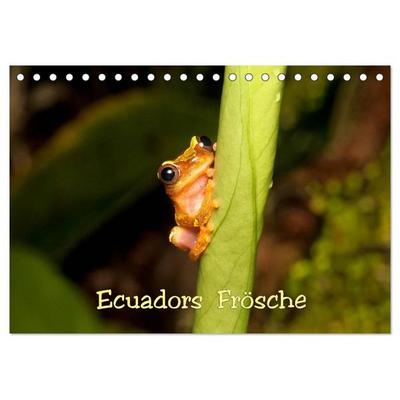 Ecuadors Frösche (Tischkalender 2027 DIN A5 quer), CALVENDO Monatskalender