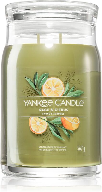 Yankee Candle Sage & Citrus bougie parfumée Signature 567 g
