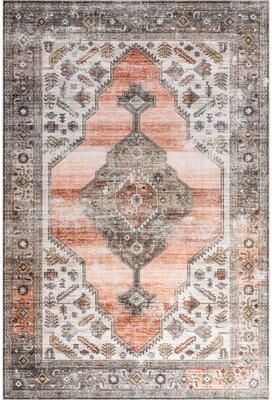 Nuloom Sia SplashGuard Vintage Southwestern Machine Washable Area Rug