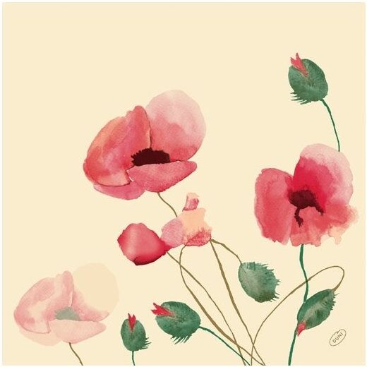 Dunisoft Middagsserviet, Poppy Charm, 60 Stk.