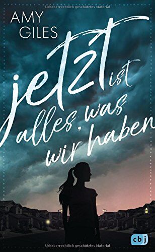 Amy Giles - Jetzt ist alles, was wir haben - Preis vom 01.10.2026 17:08:56 h