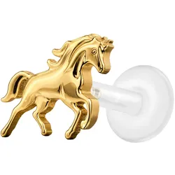 PTFE Labret mit Innengewinde + Titan-Aufsatz PFERD