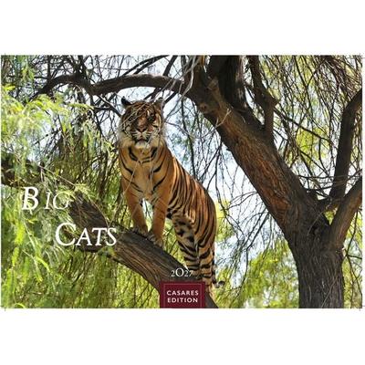 Big Cats Kalender 2027 – Wandkalender | Fotokalender Tierkalender 24x35cm – Wunderschöner Großkatzen-. mit beeindruckenden Fotos von Tiger| Löwen |