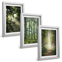 BILDER SET 3er Set - 20x30 cm Silberner Rahmen - Grüne Wälder mit Lichtstrahlen