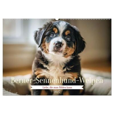 Berner-Sennenhund-Welpen (Wandkalender 2027 DIN A2 quer), CALVENDO Monatskalender