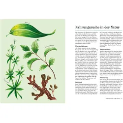 Im Flow mit den Jahreszeiten, Ratgeber von Tiffany Francis-Baker