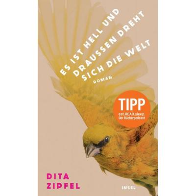Es ist hell und draußen dreht sich die Welt, Gebundene Ausgabe von Dita Zipfel, Insel Verlag, 978-3-458-64612-9