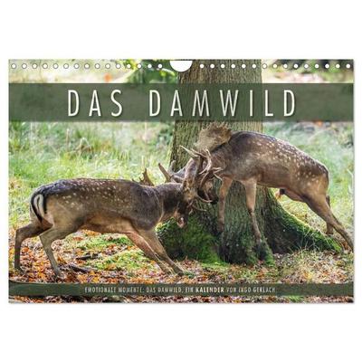 Emotionale Momente: Das Damwild. (Wandkalender 2027 DIN A4 quer), CALVENDO Monatskalender